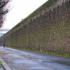 « Des murs et des hommes »