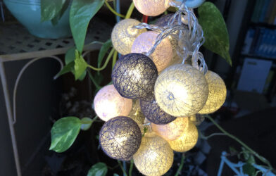 Prix d'un oecuménisme d'origine  