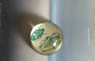 Prix de la Presse protestante