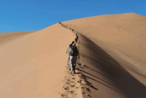 Voyage intérieur vers l'horizon