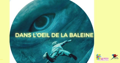 Spectacle « Dans l&rsquo;œil de la baleine » à Cannes
